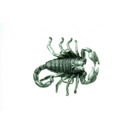 Scorpion Belt Buckle
