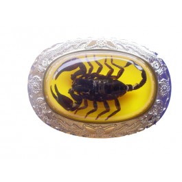 Real Scorpion Belt Buckle