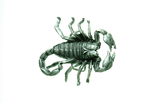 Scorpion Belt Buckle