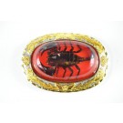 Wholesale RED Real Scorpion Belt Buckles